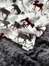 Load image into Gallery viewer, Scarlet Forest Park - Soft Baby Minky Blanket