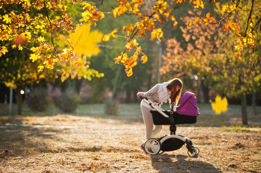 6 Items You Need to Keep in Your Stroller at All Times