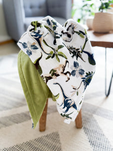 Lost World - Baby Minky Blanket