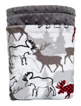 Load image into Gallery viewer, Scarlet Forest Park - Baby Minky Blanket