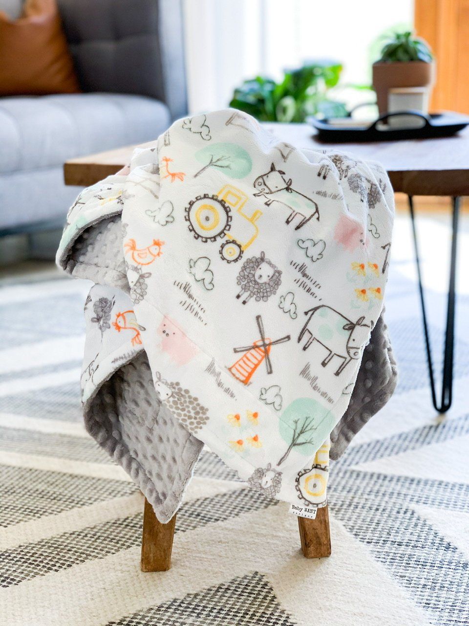 Blankets - E-I-E-I-O - Soft Baby Minky Blanket